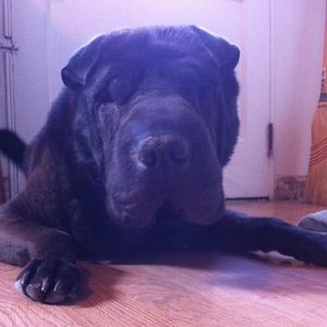 Meet your Posher, Eric